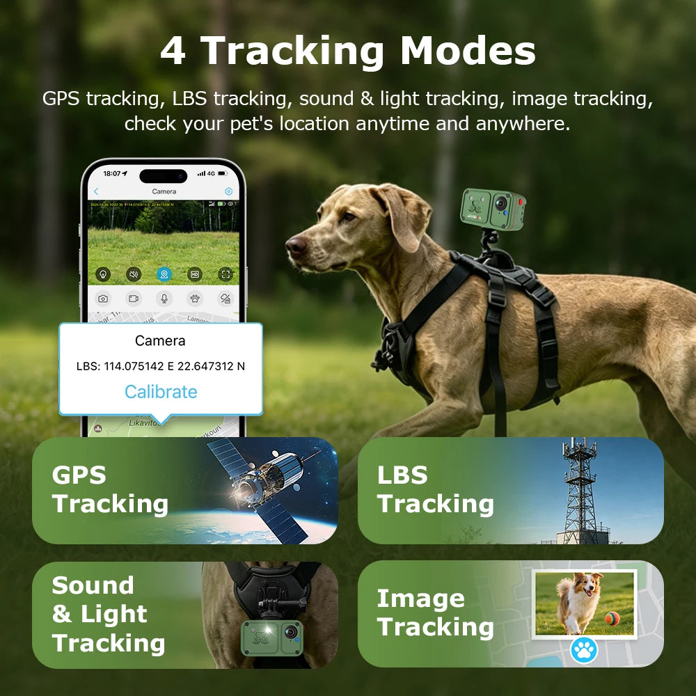 Marloe Co Pet POV Camera Collar — 4G 4MP Wearable Action Cam for Cats & Dogs