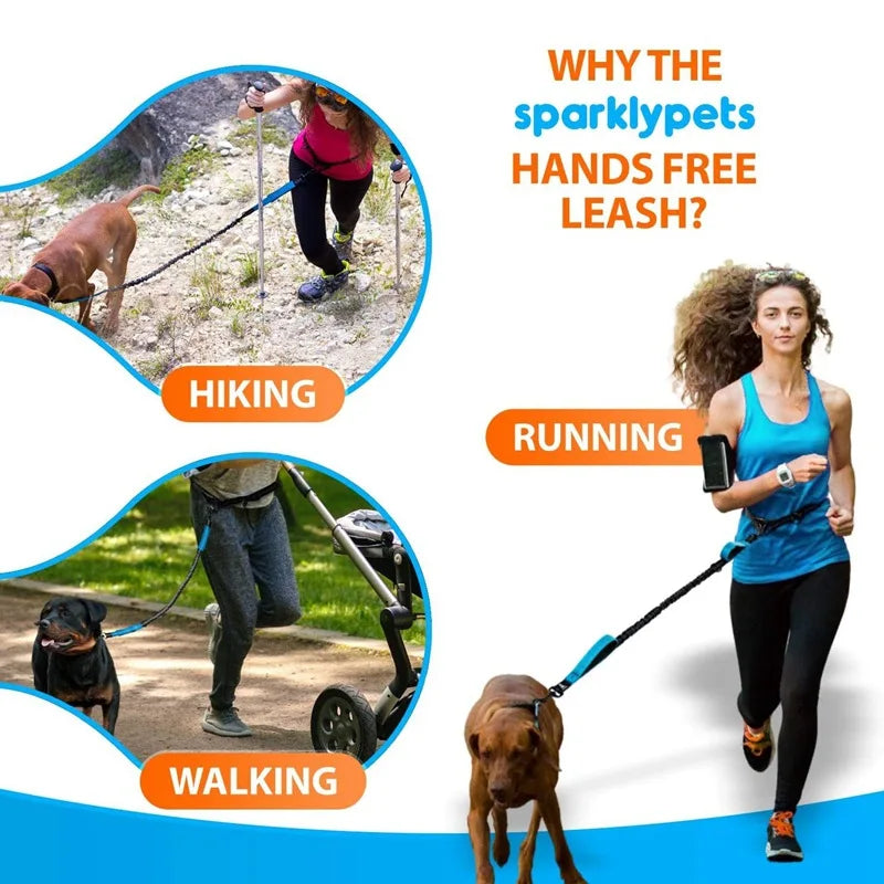 Reflective Elastic Running Dog Leash — Hands-Free Retractable with Bungee