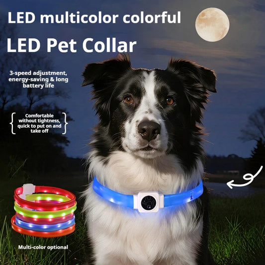 Rechargeable LED Collar Light — USB-C, Dogs & Cats
