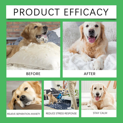 Dog Calming Diffuser Kit Anti Anxiety Relief Set Effectively Reduce Dogs Stress Prevent Aggressive Barking Pet Soothing Liquid