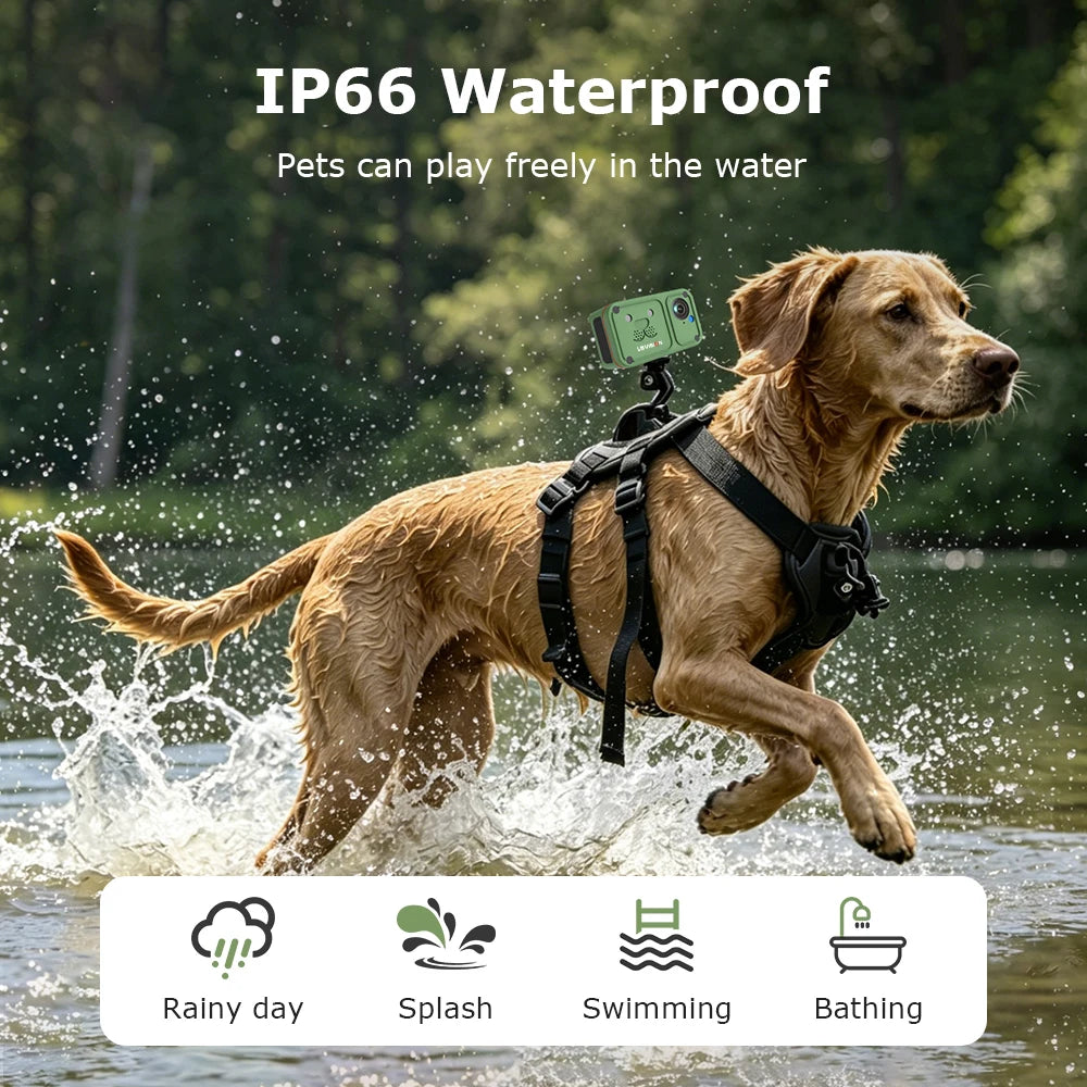 Marloe Co Pet POV Camera Collar — 4G 4MP Wearable Action Cam for Cats & Dogs