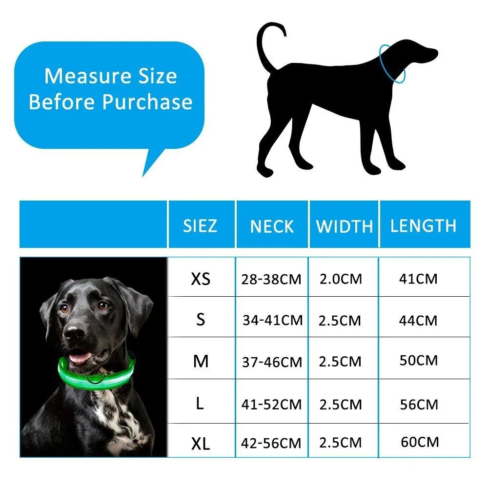 Nylon Reflective LED Dog Collar Light Up Pet Collar Night Walking Camping Safety Adjustable Durable Pet Supplies