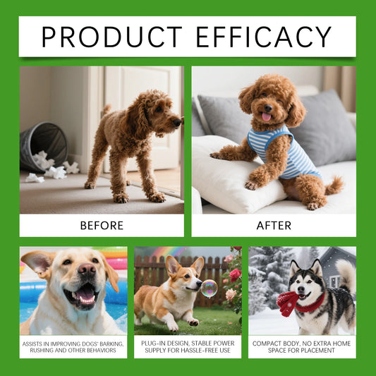 Pet Calming Diffuser for Anxious Dogs Essential Oil Free Safe Diffuser Creates Calm Home Behavior Aid Long Lasting Care Us plug