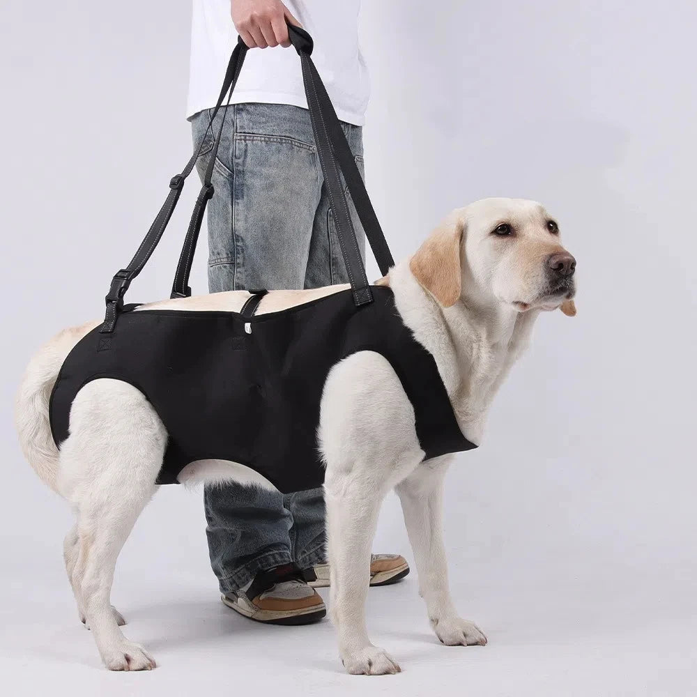 Dog Lift Harness — Support Sling for Senior & Mobility-Impaired Dogs