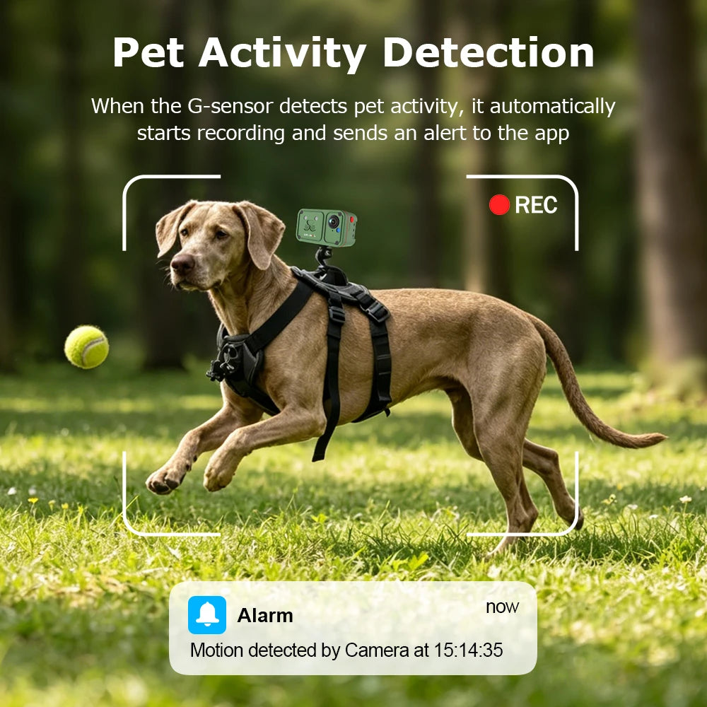 Marloe Co Pet POV Camera Collar — 4G 4MP Wearable Action Cam for Cats & Dogs