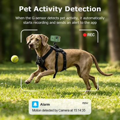 Marloe Co Pet POV Camera Collar — 4G 4MP Wearable Action Cam for Cats & Dogs