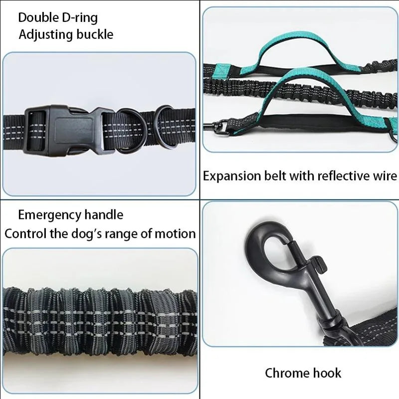 Reflective Elastic Running Dog Leash — Hands-Free Retractable with Bungee