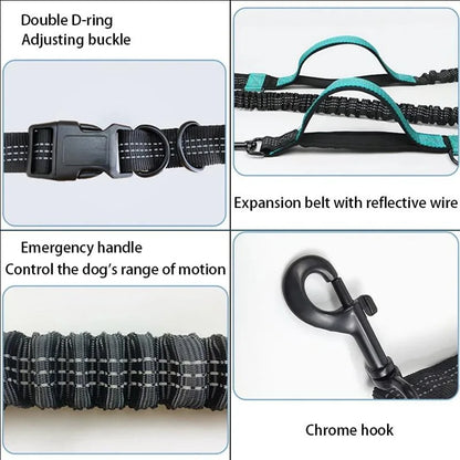 Reflective Elastic Running Dog Leash — Hands-Free Retractable with Bungee
