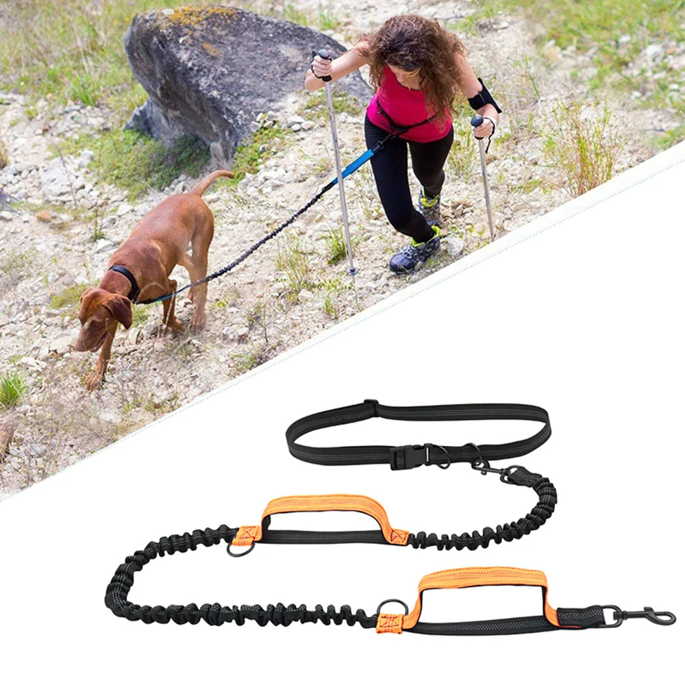 Reflective Elastic Running Dog Leash — Hands-Free Retractable with Bungee