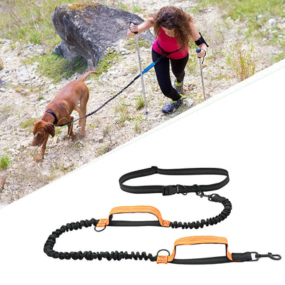Reflective Elastic Running Dog Leash — Hands-Free Retractable with Bungee