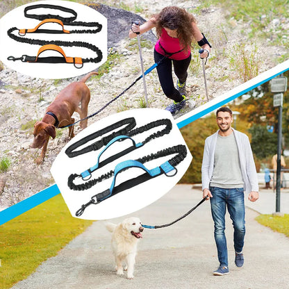 Reflective Elastic Running Dog Leash — Hands-Free Retractable with Bungee