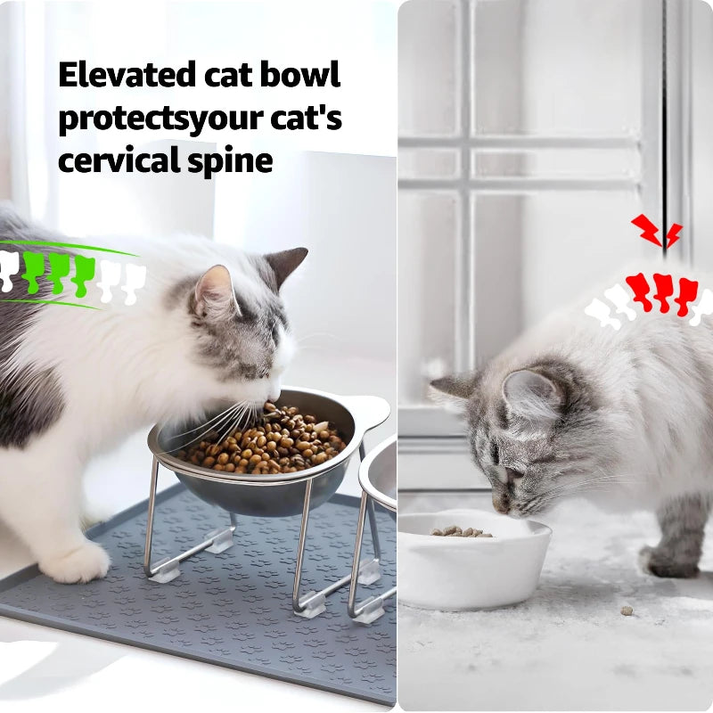 Raised Stainless Steel Cat Bowl — 15° Tilted, Neck-Friendly