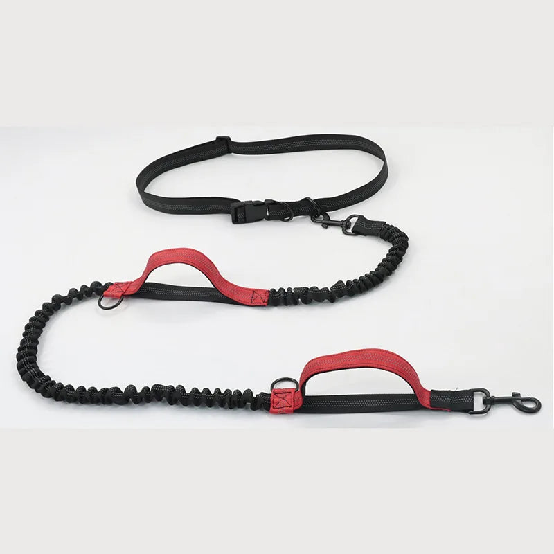 Reflective Elastic Running Dog Leash — Hands-Free Retractable with Bungee