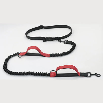 Reflective Elastic Running Dog Leash — Hands-Free Retractable with Bungee